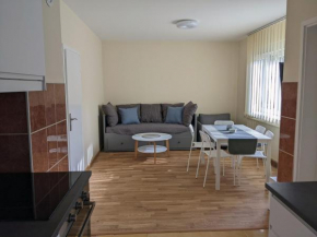 Lovely 1-bedroom Condo in Kraljevo